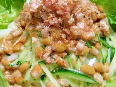 まろねば～☆豆豆パワーの冷やしうどん